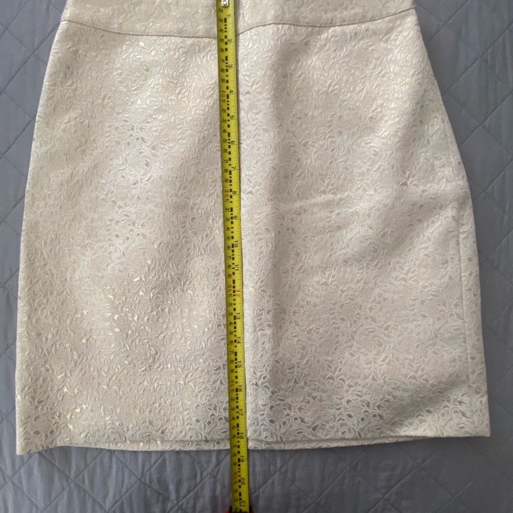 Bebe Elegant Cream and gold Skirt